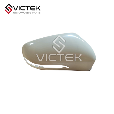 Cadre de rétroviseur gauche 601000517AA