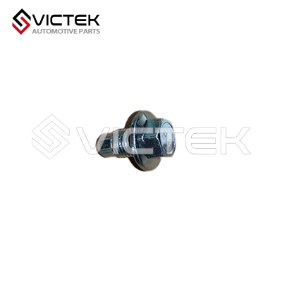 Boulon de vidange du carter d'huile 1009101C0300