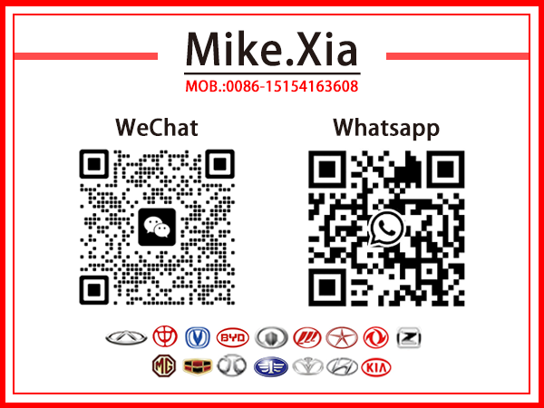 Shandong Victory Car Parts Technology Co., Ltd.